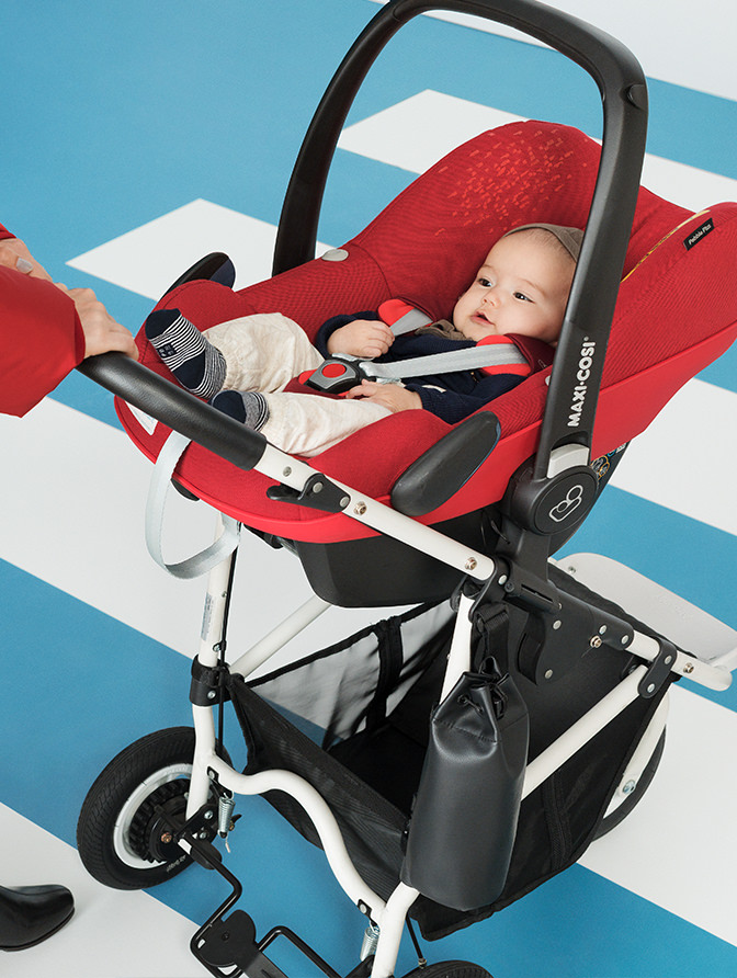 4 in 1 | AIRBUGGY FOR PET