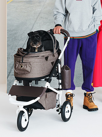 airbuggy pet stroller