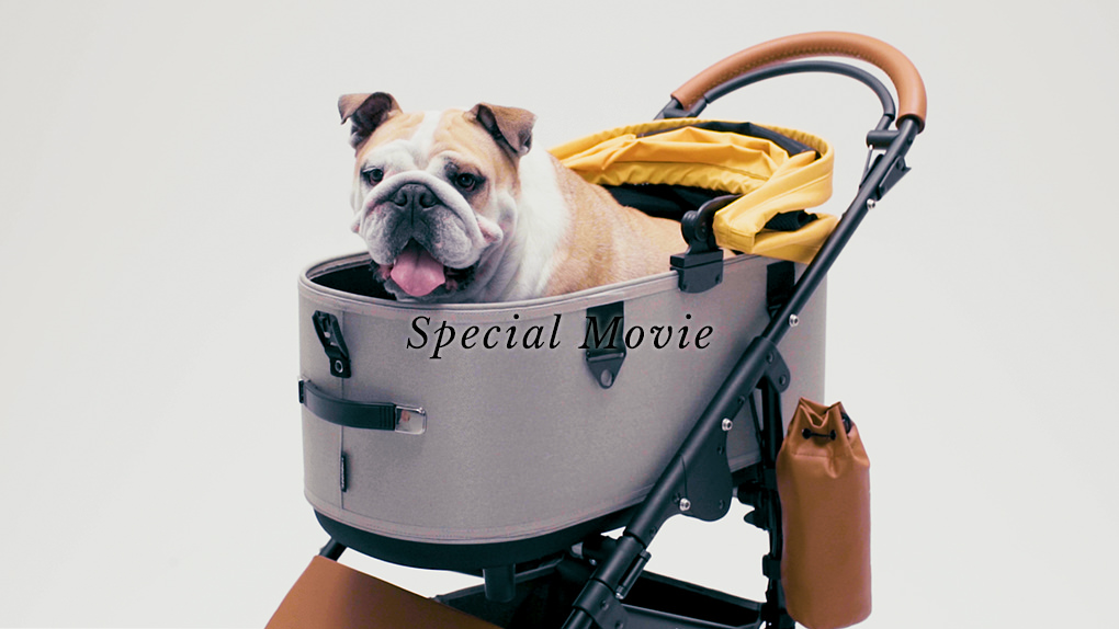 Special Movie