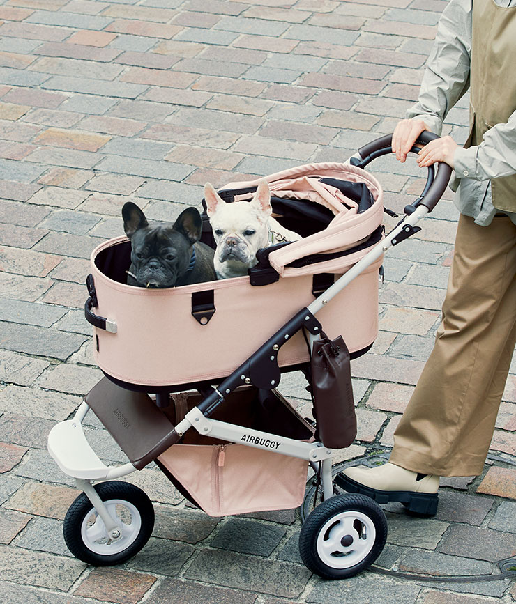 buggy for dog