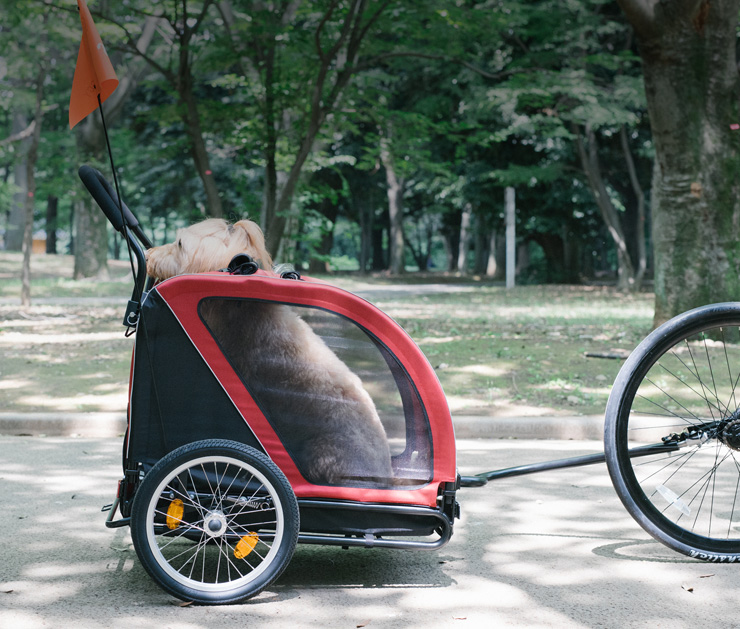AIRBUGGY FOR PET