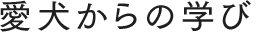 愛犬からの学び