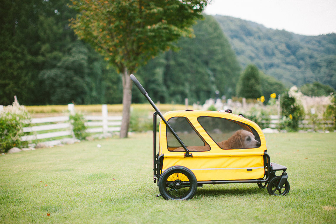 Carriageが生まれた理由