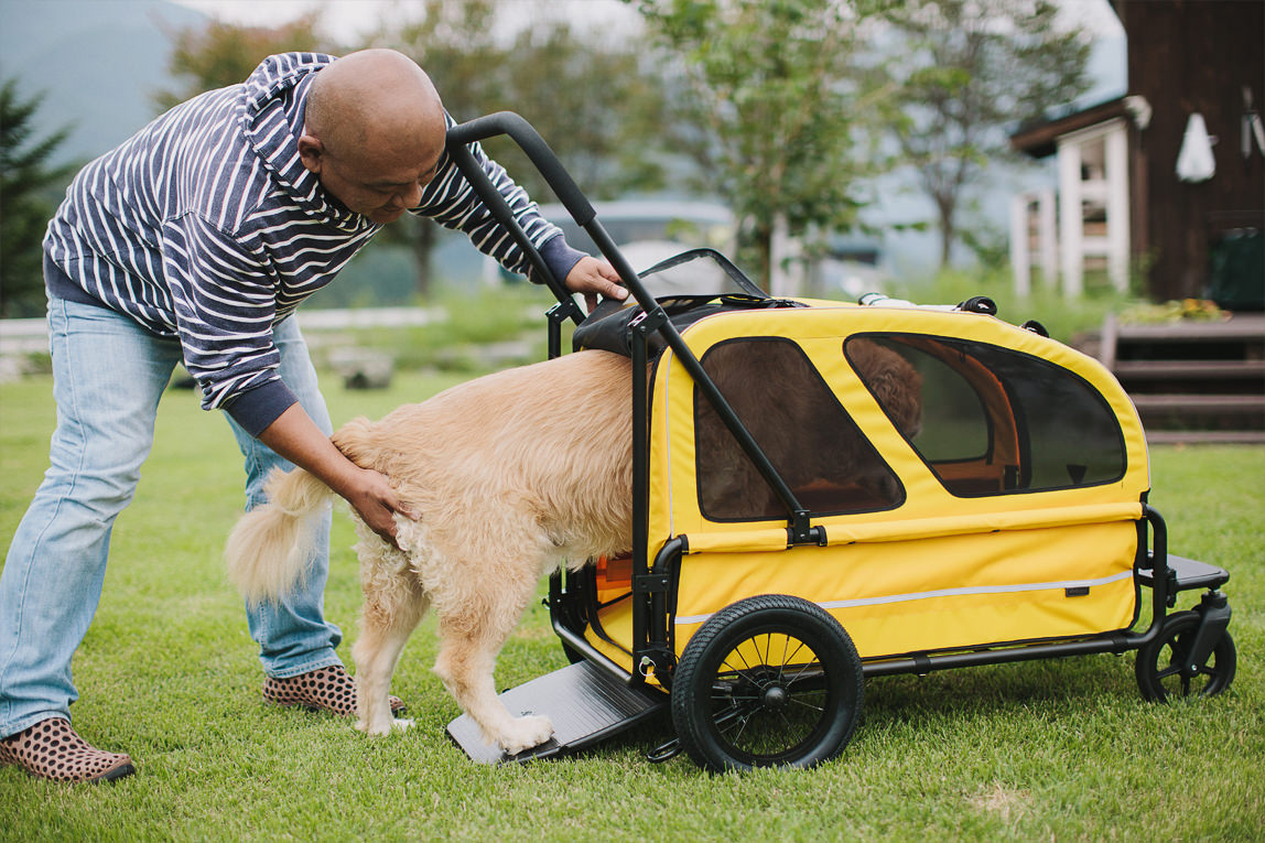 Carriageが生まれた理由