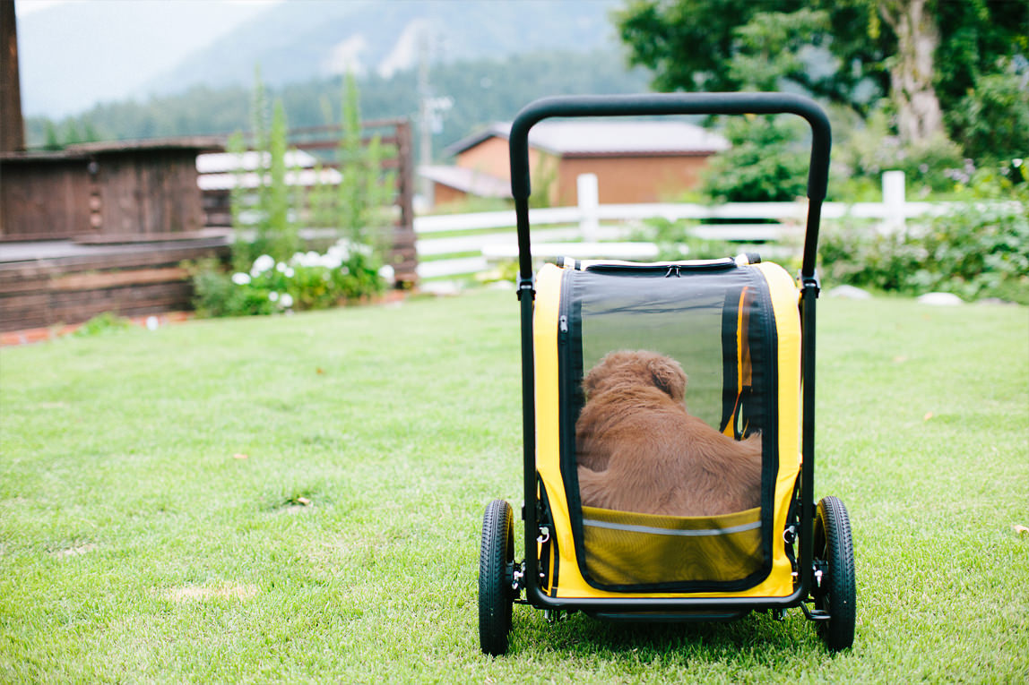 Carriageが生まれた理由