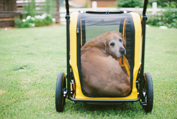 AIR BUGGY  CARRIAGE    大型犬用 カート