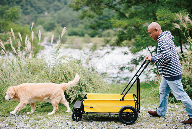 CARRIAGE | AIRBUGGY FOR PET | ペットカートのエアバギー