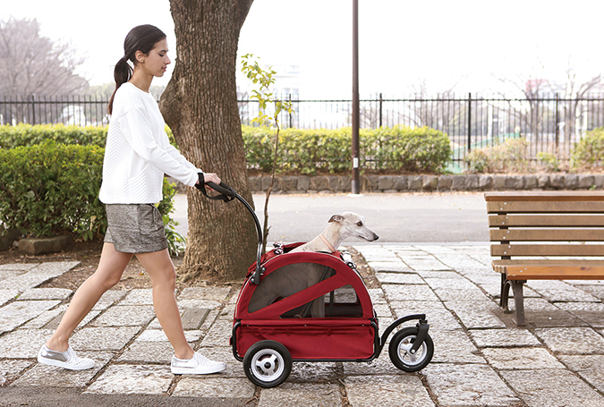 エアバギー　トゥインクル　Air Buggy for DOG Twinkle