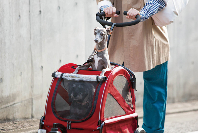 エアバギー　トゥインクル　Air Buggy for DOG Twinkle