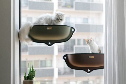 EZ MOUNT WINDOW BED（ウィンドウベッド） | AIRBUGGY FOR PET