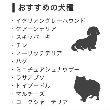 うちの子にぴったりサイズのカートはどれ 機種やサイズをお悩みの方に 犬種別 サイズ比較解説 Domeシリーズ編 Airbuggy For Pet ペットカートのエアバギー