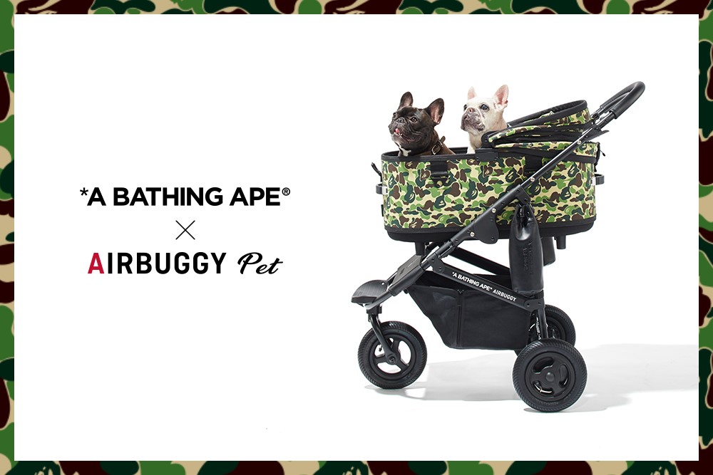 コラボモデル限定発売のお知らせ】A BATHING APE®× AIRBUGGY PET ...