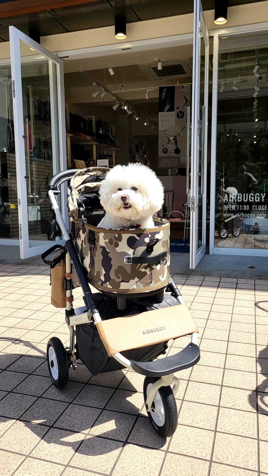 九州初 Airbuggy福岡店にペットカート専門のショップ イン コーナーが誕生します Airbuggy For Pet ペット カートのエアバギー