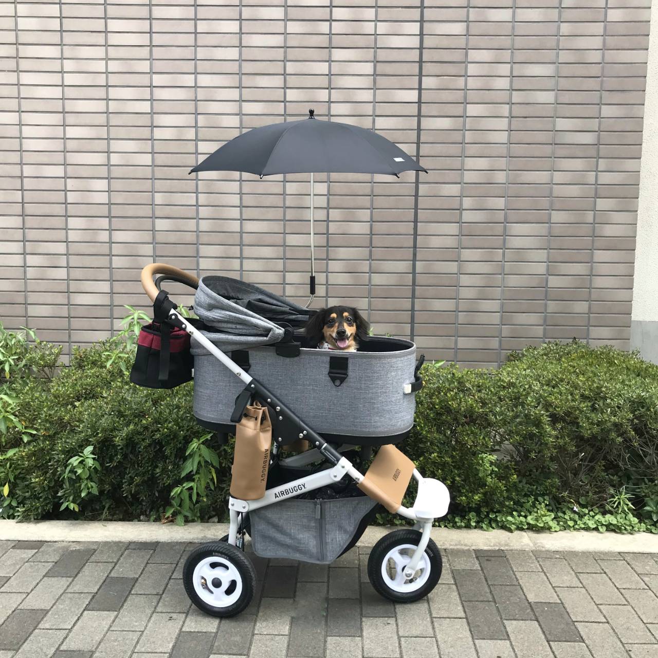 ワンコバギー AIR BUGGY | www.ripublication.com