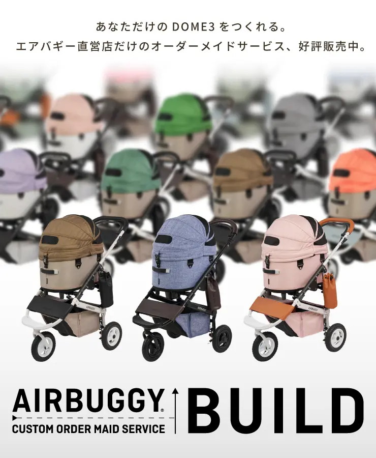 ”AIRBUGGY