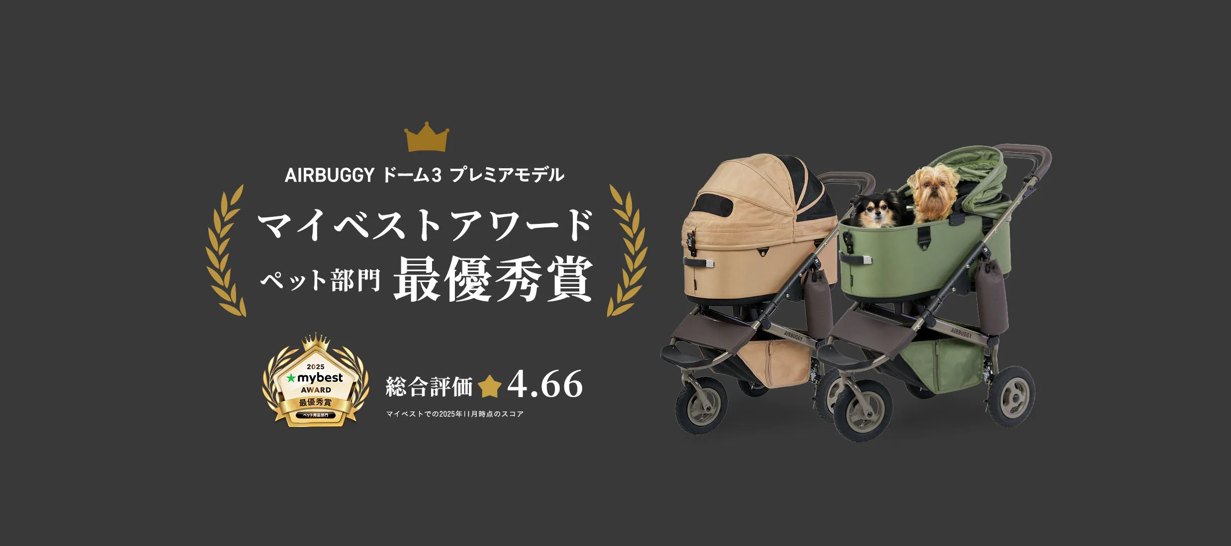 「マイベストアワード2025」最優秀賞を受賞