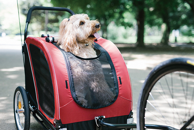 pet wagon for bike