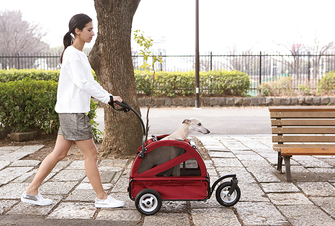 TWINKLE | AIRBUGGY FOR PET
